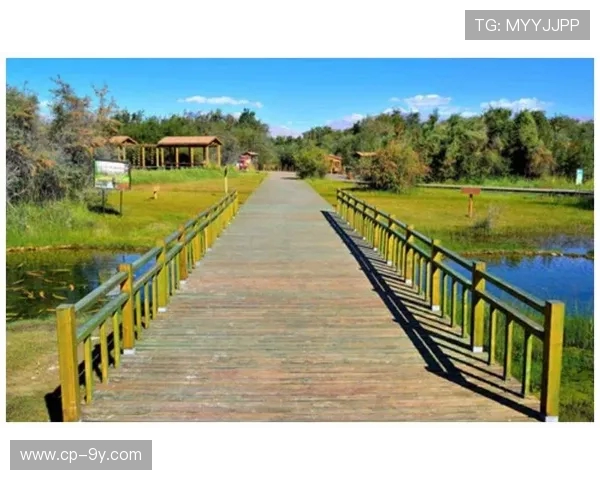 以乌什县为核心全景解读新疆足球发展多维度路径探索与实践经验