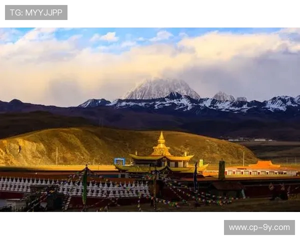 竞彩足球中奖飘花揭秘助你掌握运气与策略相融之道全景洞察新篇章