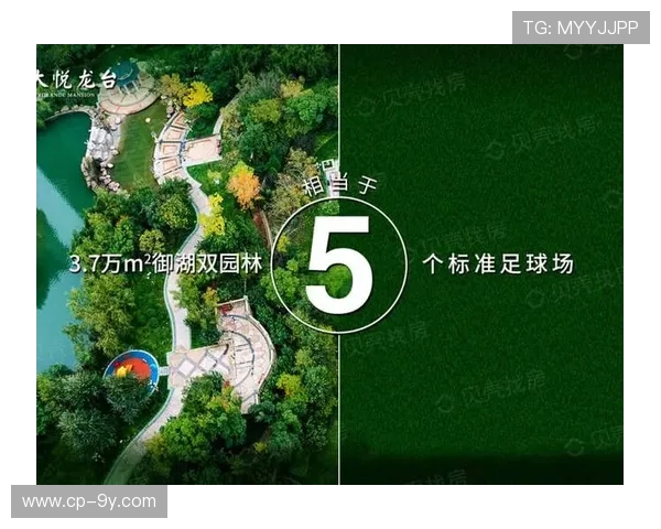 围绕石狮路足球场详细地址信息的全方位便捷高效查询服务实用指南